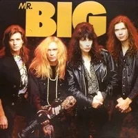 Mr. Big - Wild World